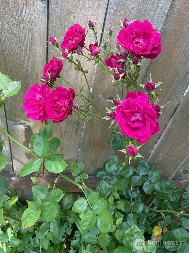 8859 20th Avenue Southwest Seattle, WA 98106 - Photo 29 of 40 a view of a room
