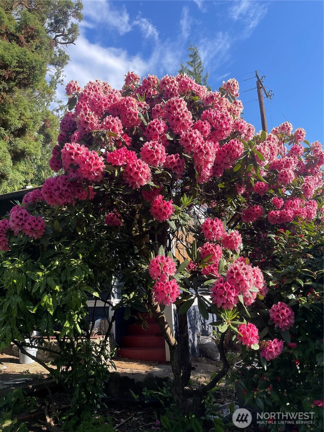 8859 20th Avenue Southwest Seattle, WA 98106 - Photo 31 of 40