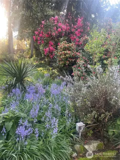 a view of a backyard with potted plants