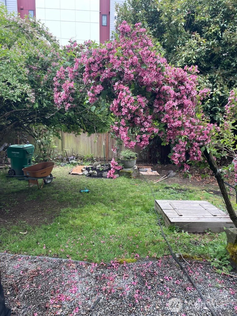 8859 20th Avenue Southwest Seattle, WA 98106 - Photo 34 of 40 a view of a backyard with potted plants