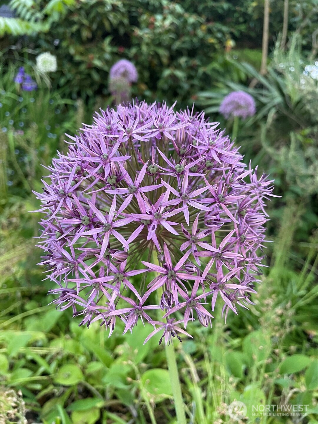 8859 20th Avenue Southwest Seattle, WA 98106 - Photo 35 of 40