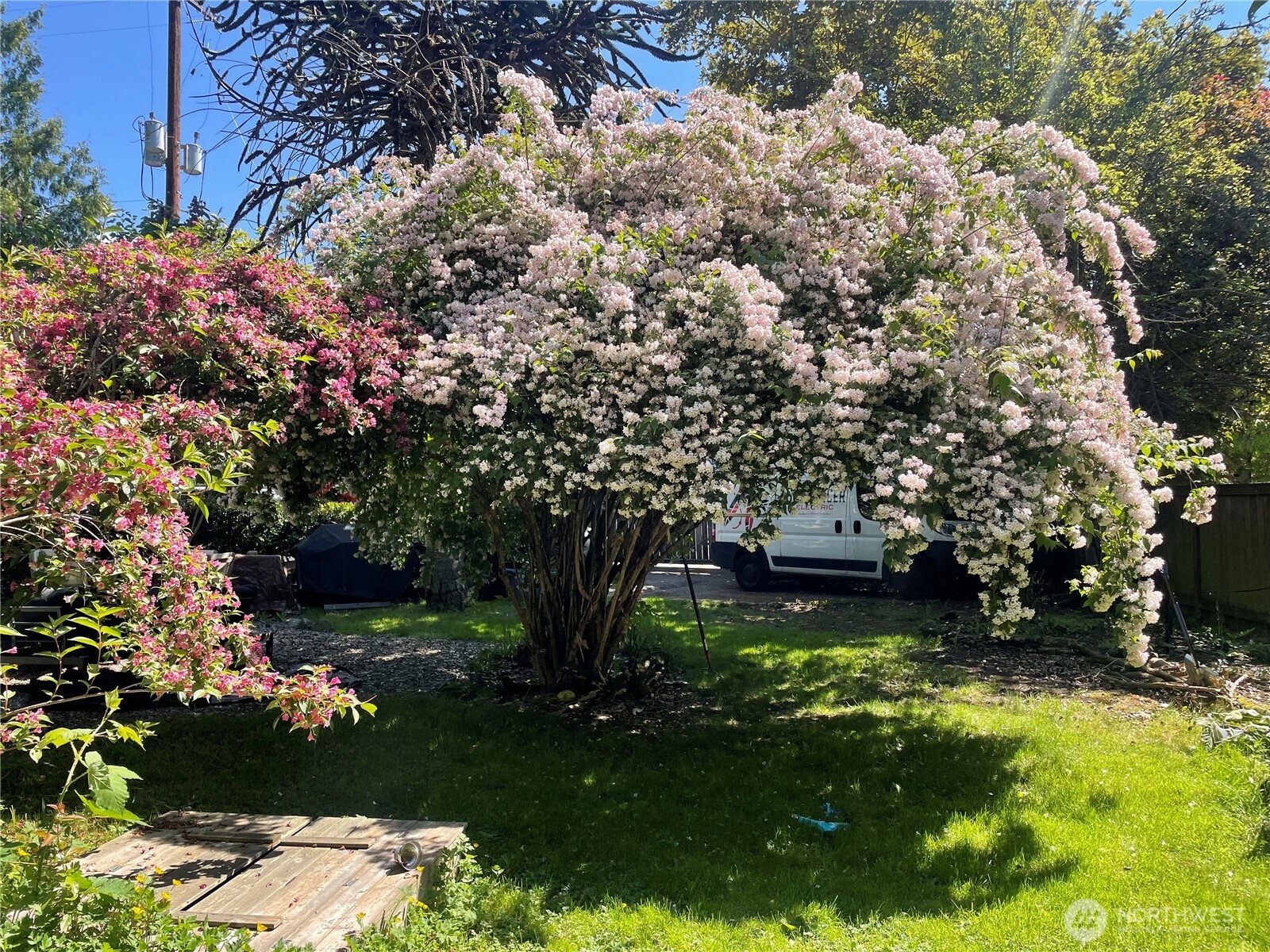 8859 20th Avenue Southwest Seattle, WA 98106 - Photo 36 of 40 a view of a garden with a fountain