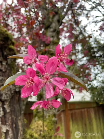 $700,000 | 8859 20th Avenue Southwest, Seattle, WA 98106