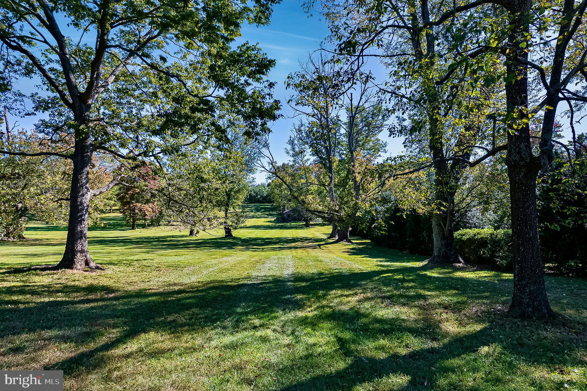 1610 Delaplane Grade Road Upperville, VA 20184 - Photo 101 of 123 Specimen trees