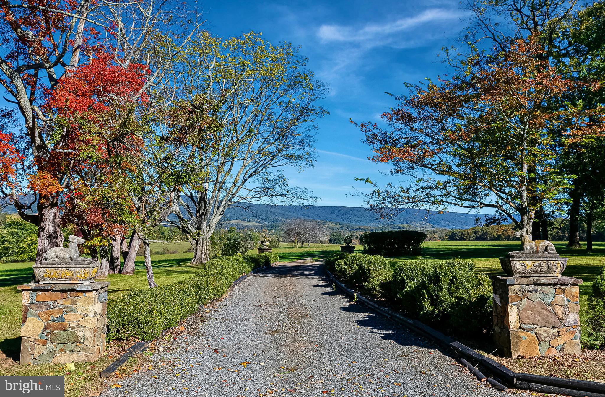 1610 Delaplane Grade Road Upperville, VA 20184 - Photo 102 of 123 a view of a garden with plants and trees