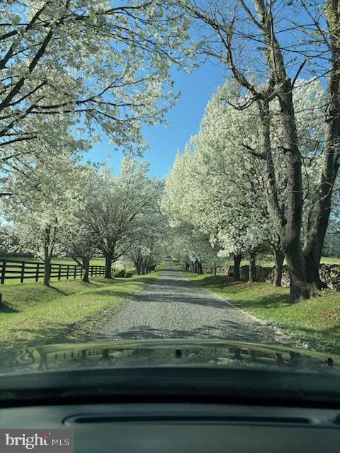 1610 Delaplane Grade Road Upperville, VA 20184 - Photo 120 of 123 Dogwood driveway!
