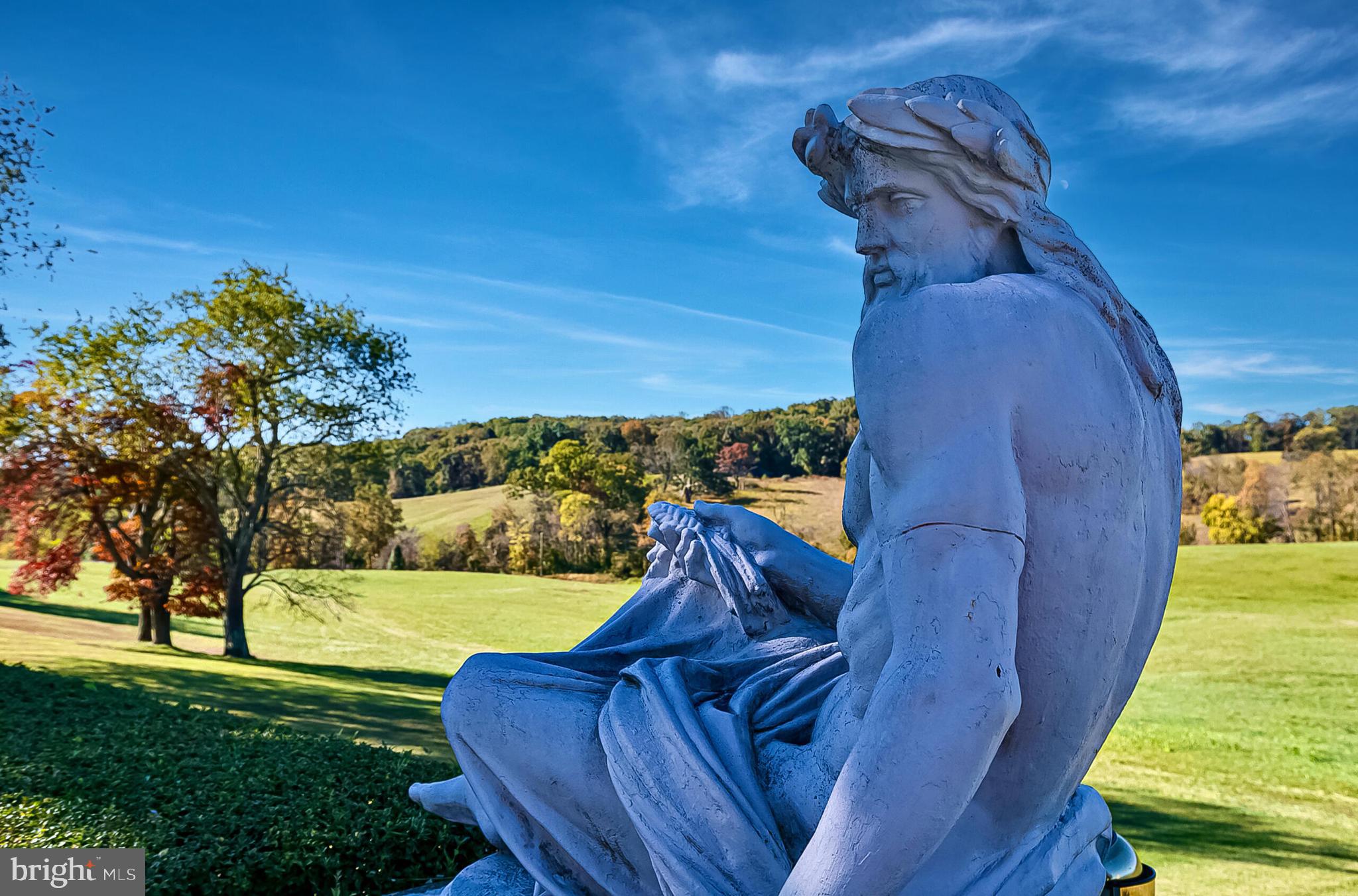 1610 Delaplane Grade Road Upperville, VA 20184 - Photo 17 of 123 Majestic statutes border the pool