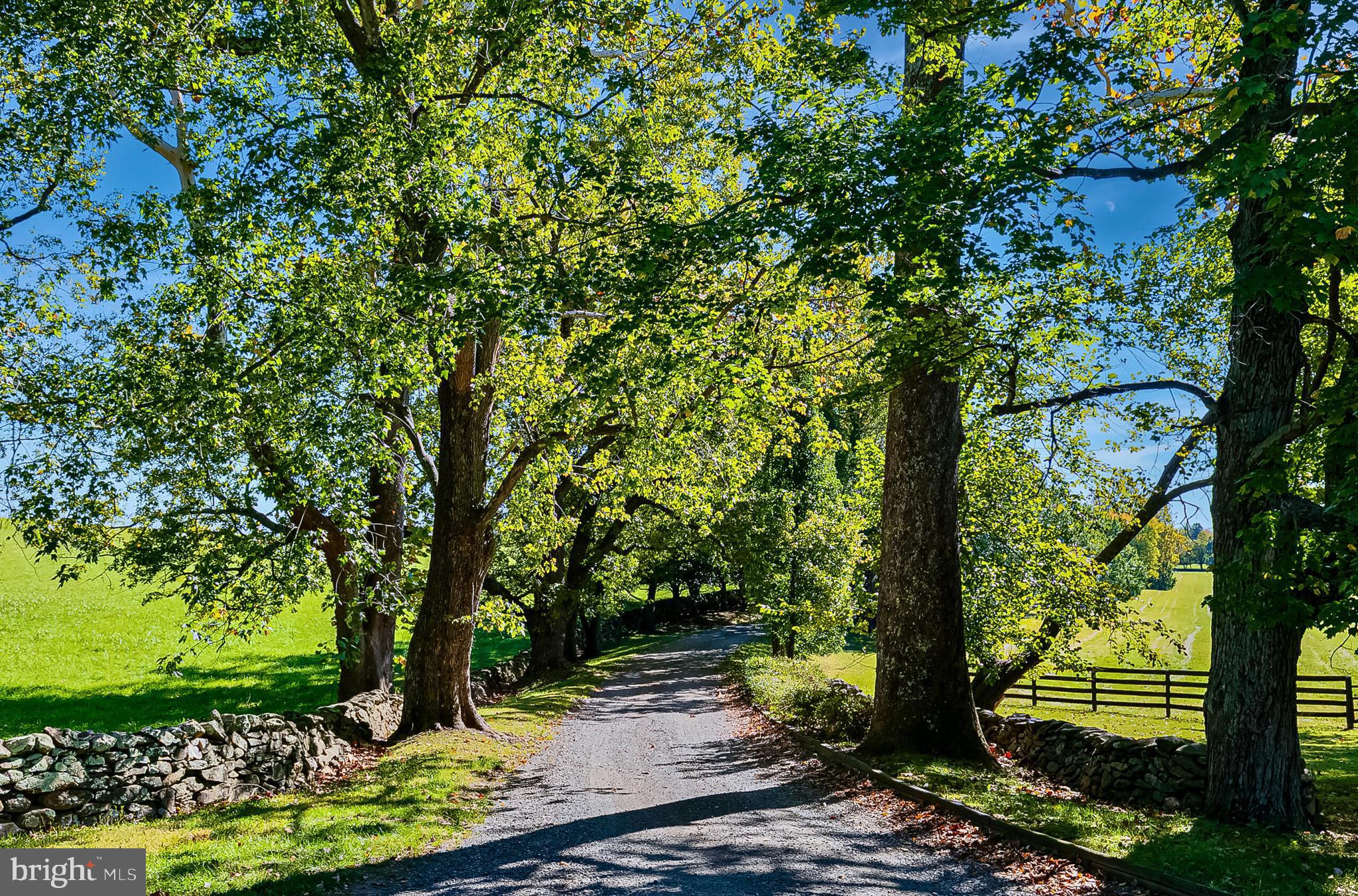 1610 Delaplane Grade Road Upperville, VA 20184 - Photo 19 of 123 Drive to the barn