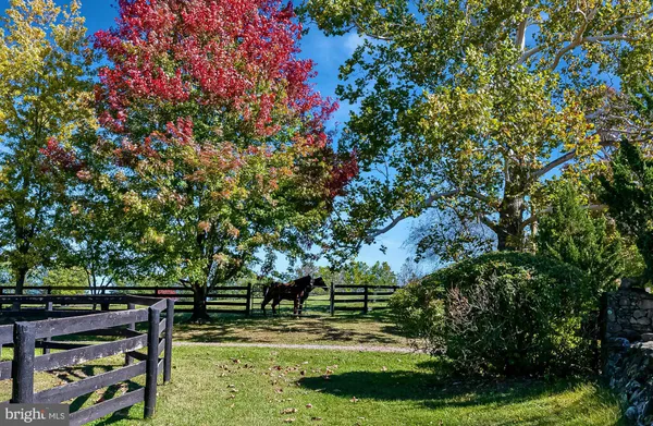 a view of a back yard