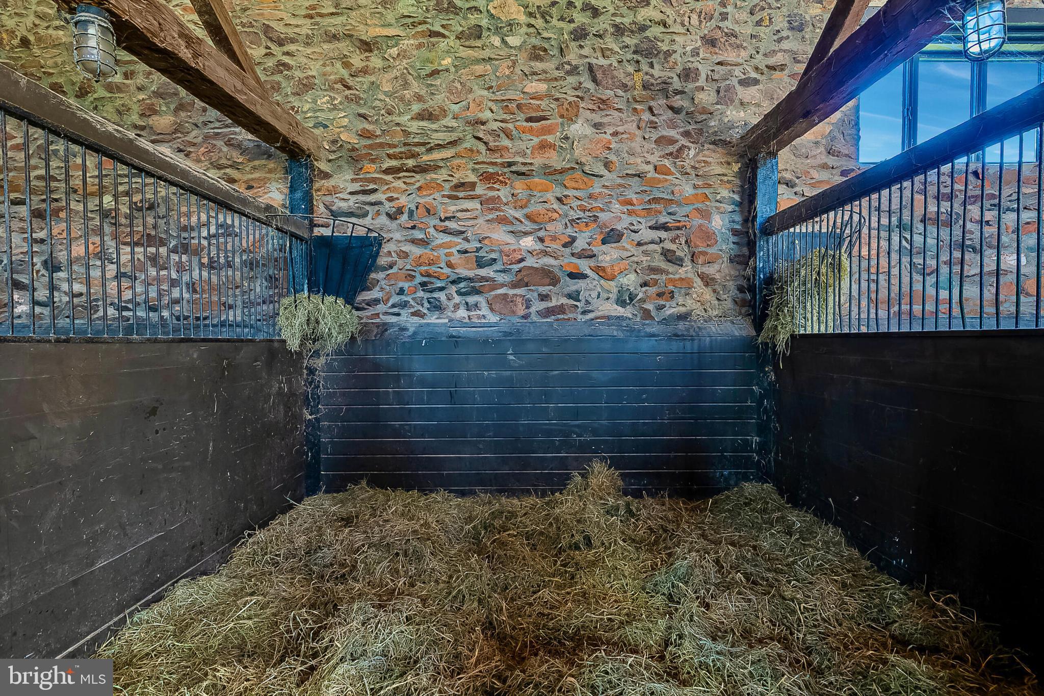 1610 Delaplane Grade Road Upperville, VA 20184 - Photo 44 of 123 Generous stalls