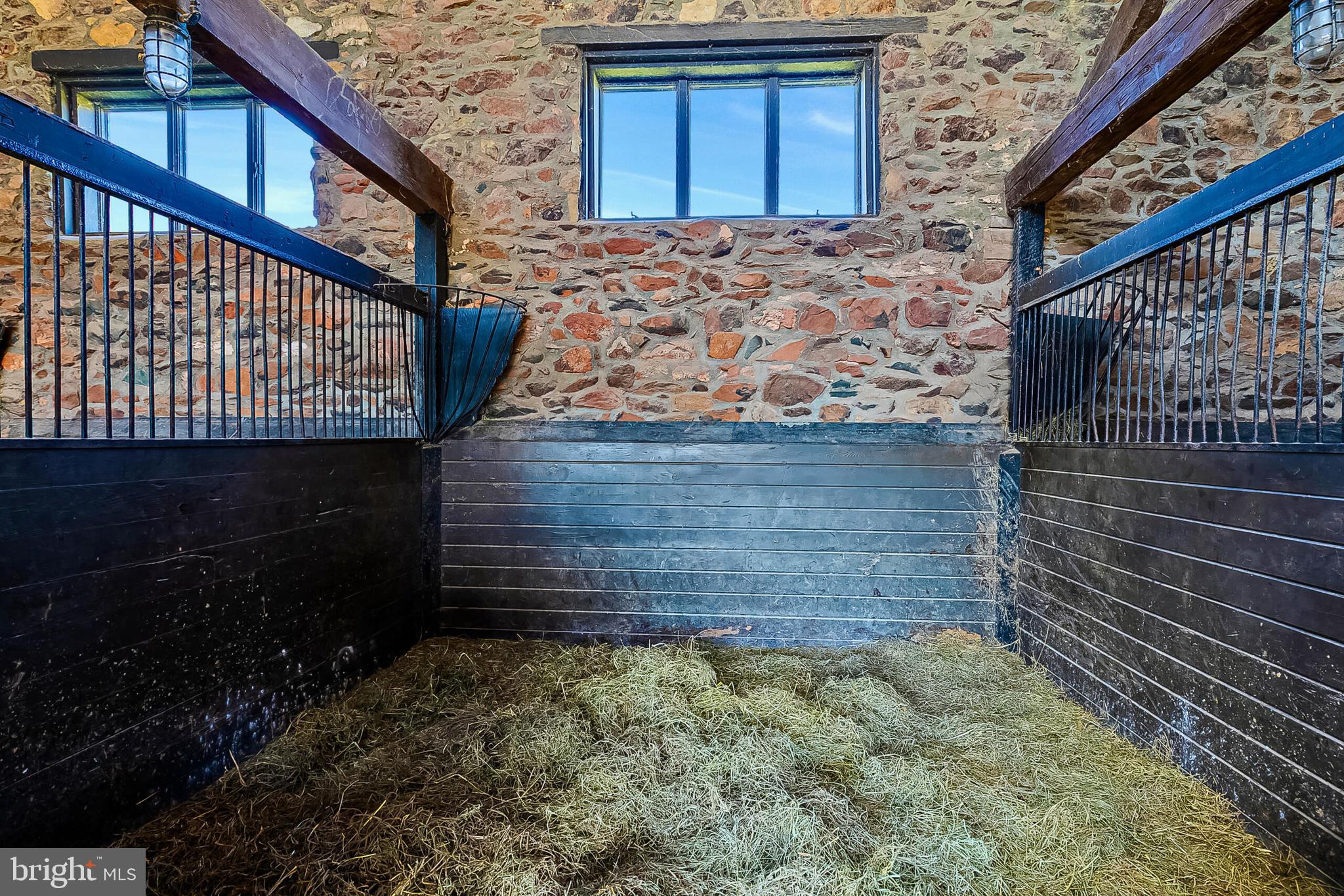 1610 Delaplane Grade Road Upperville, VA 20184 - Photo 46 of 123 High ceilings