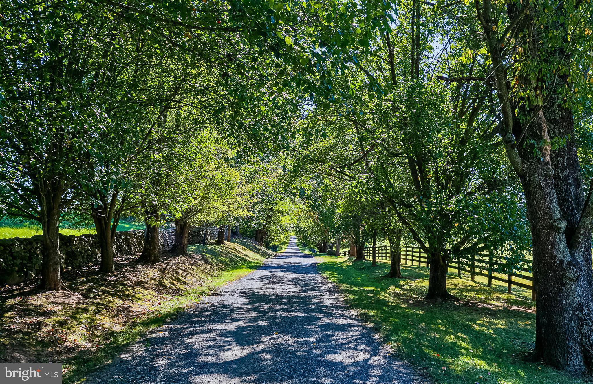 1610 Delaplane Grade Road Upperville, VA 20184 - Photo 5 of 123 a view of a backyard with large trees