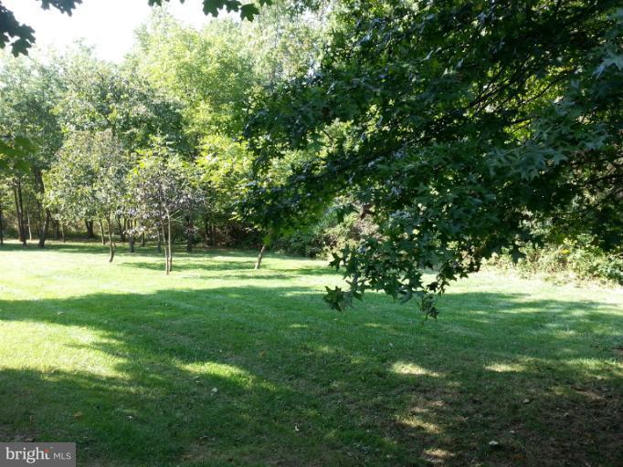 6174 Silver Arrows Way Columbia, MD 21045 - Photo 12 of 25 a view of a park with a tree in the background