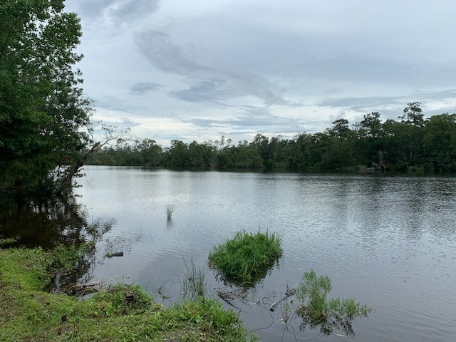 14235 County Road 9 Foley, AL 36535 - Photo 41 of 43