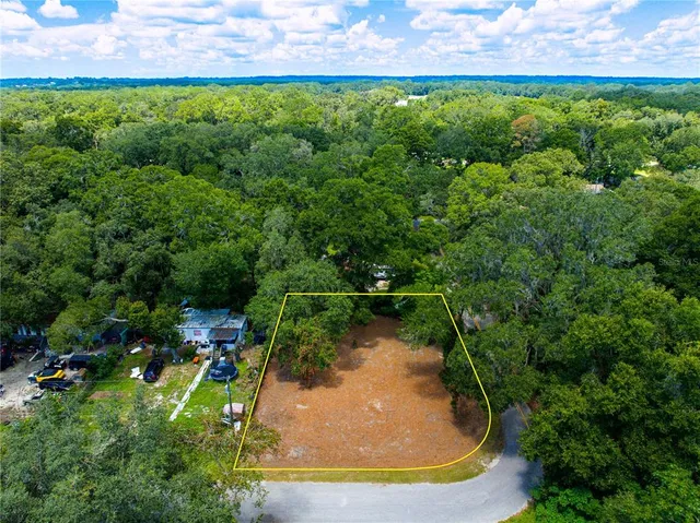 a view of a water pond with green yard