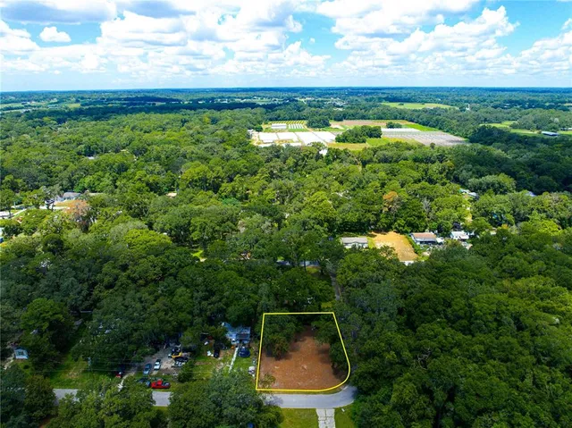 a view of a city and lush green forest