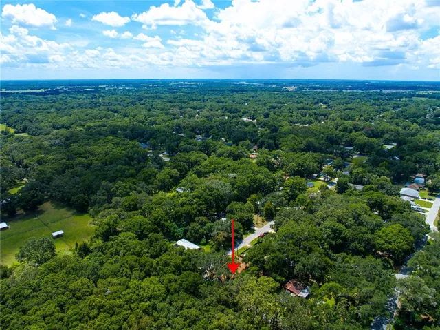 a green field with lots of bushes