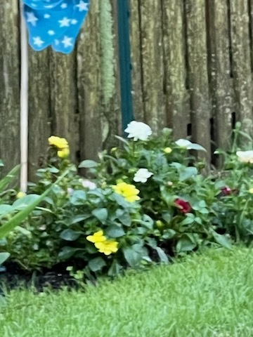 2323 Clyde Terrace Homewood, IL 60430 - Photo 23 of 28