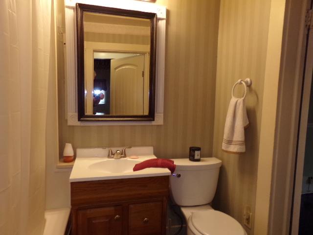 201 Spring Street Decherd, TN 37324 - Photo 24 of 26 Bath downstairs