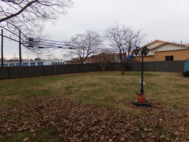 201 Spring Street Decherd, TN 37324 - Photo 7 of 26 Rear yard