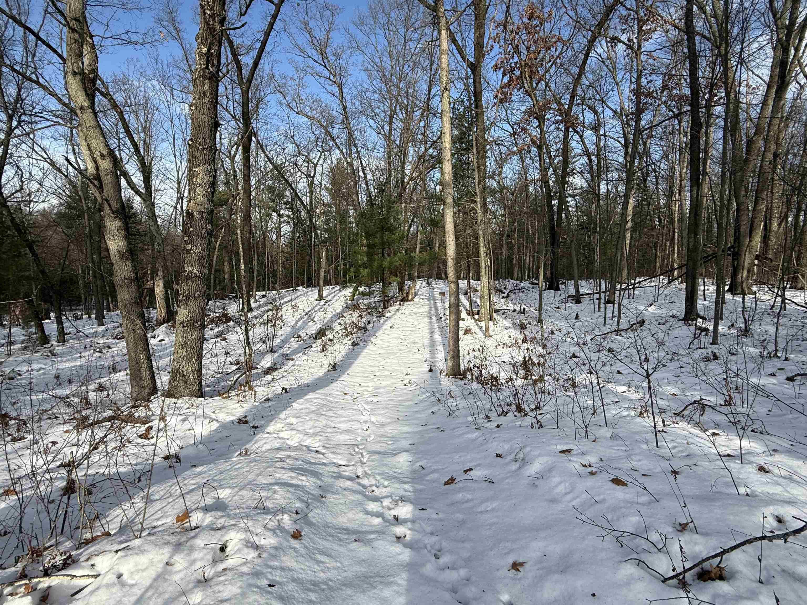 5320 Old State Road National City, MI 48748 - Photo 20 of 21 1941296-7af94fee-58ea-4760-ae62-45f0c14ac96b.JPG