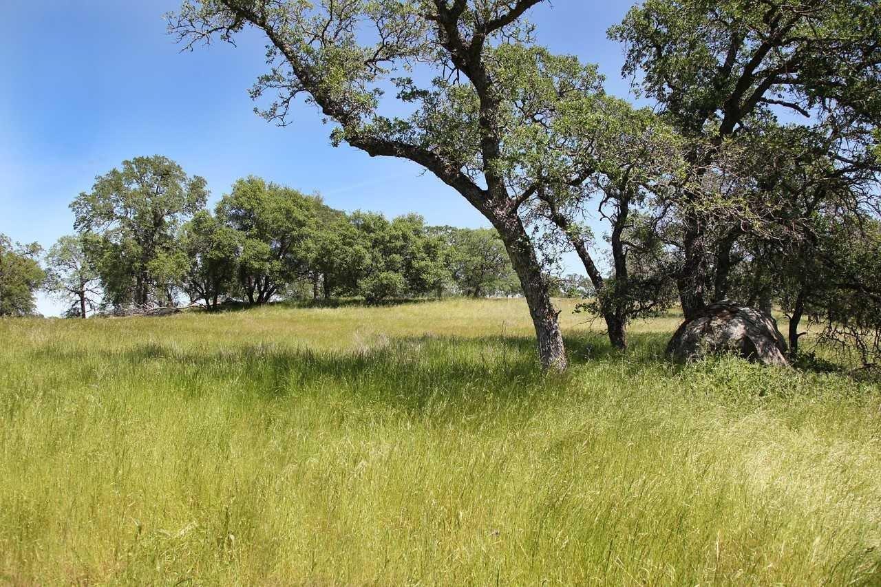 1000 Creekside Lane Loomis, CA 95650 - Photo 6 of 11 a view of a yard with a tree
