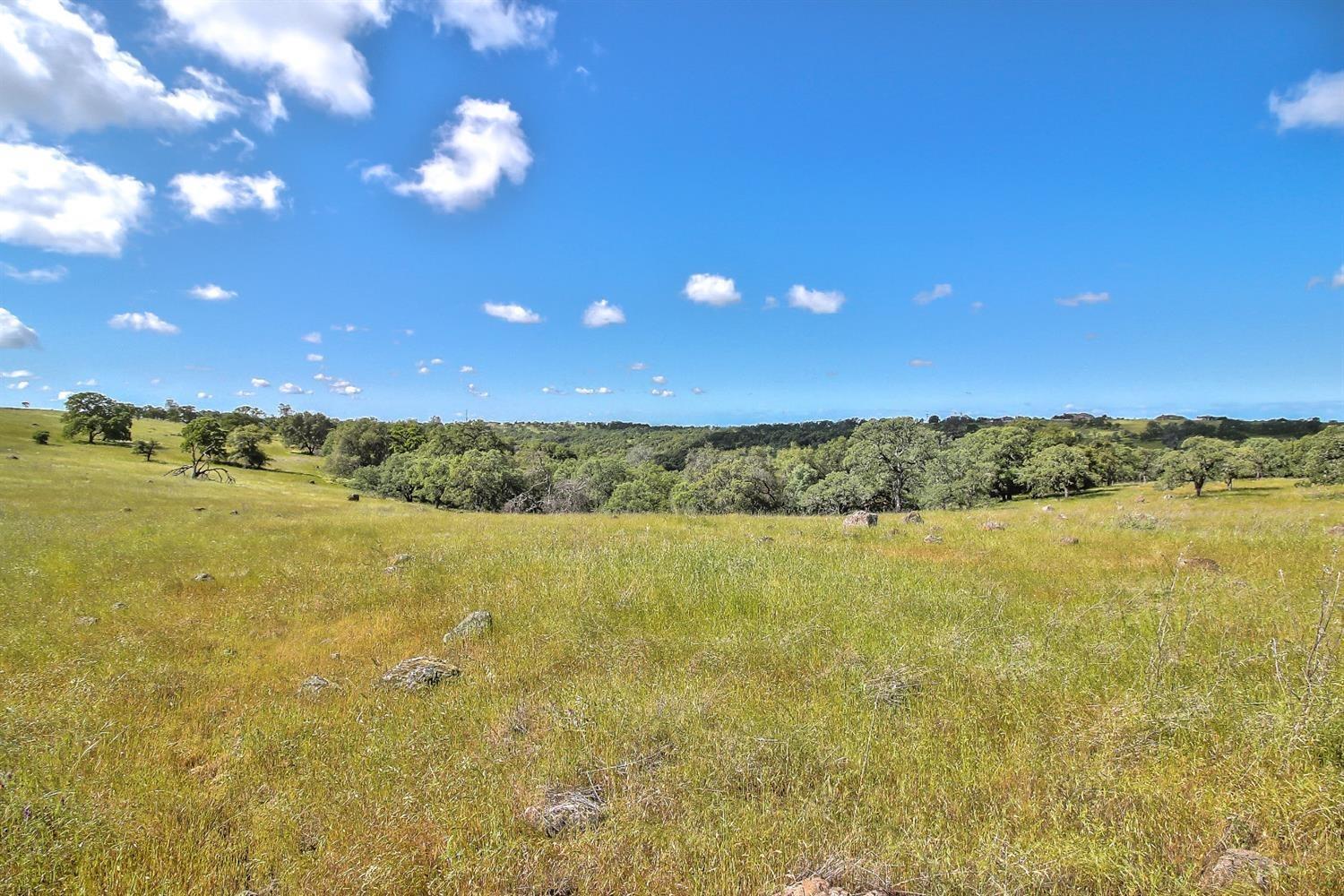 1000 Creekside Lane Loomis, CA 95650 - Photo 7 of 11 a view of an ocean and a yard
