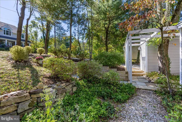 a view of a garden with plants