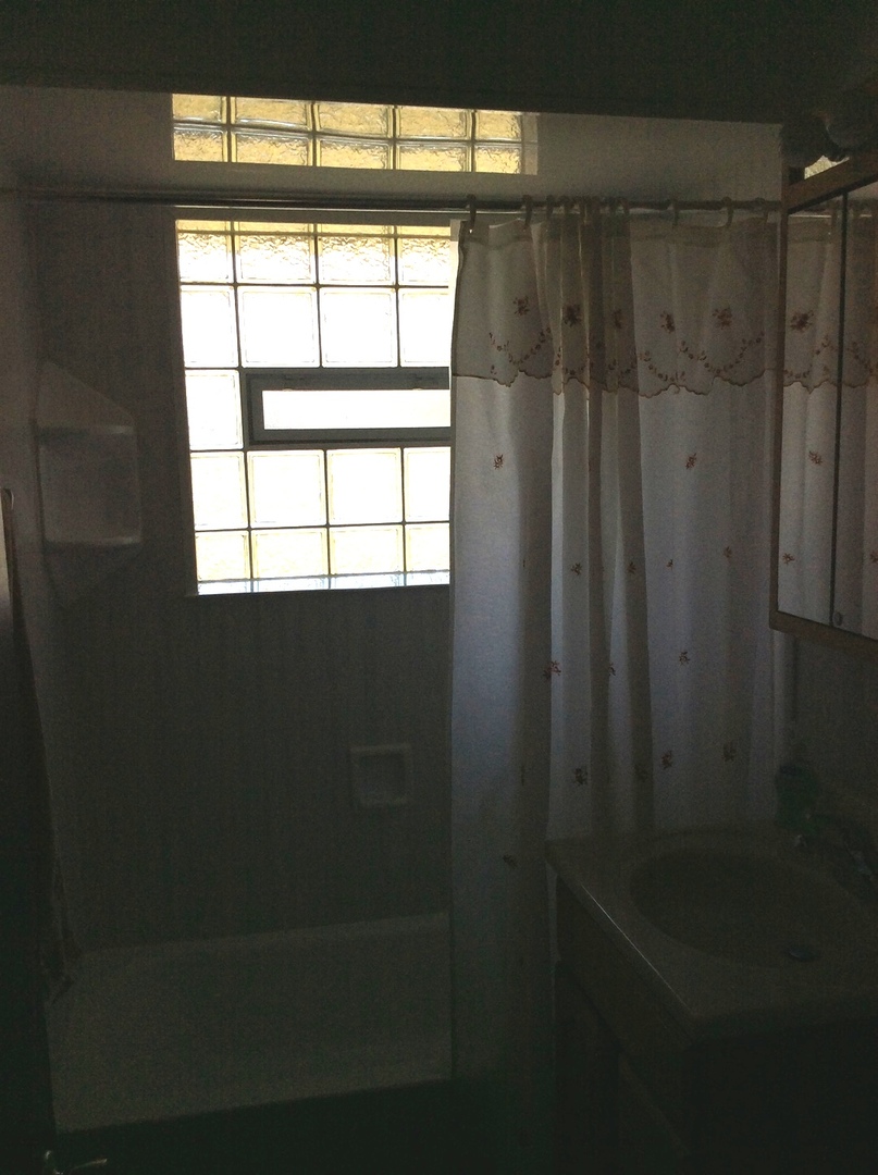 6137 Birmingham Street Chicago Ridge, IL 60415 - Photo 24 of 36