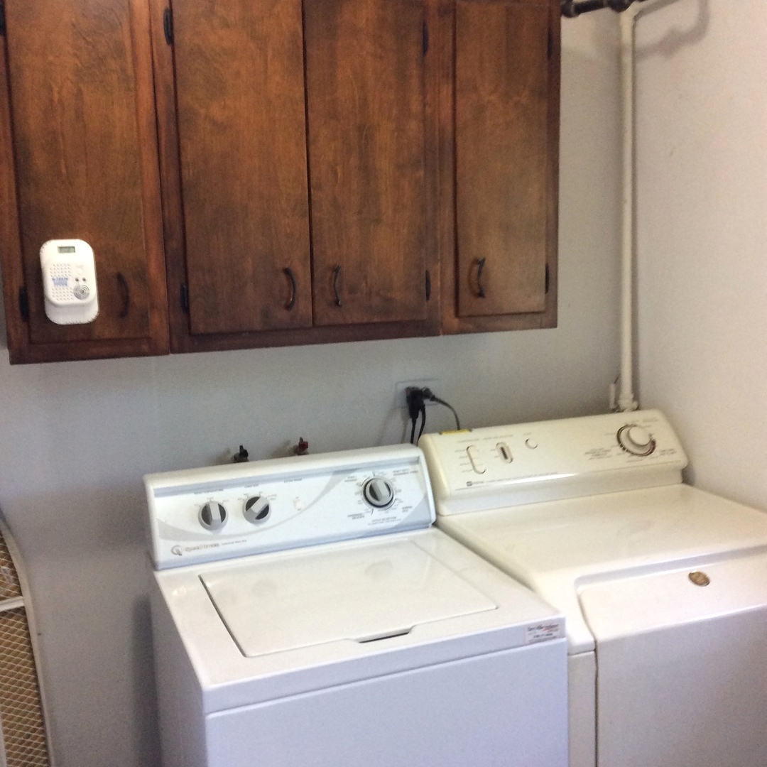 6137 Birmingham Street Chicago Ridge, IL 60415 - Photo 26 of 36
