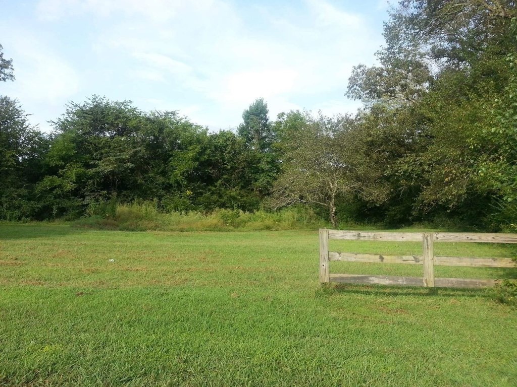 Gallery Image 6