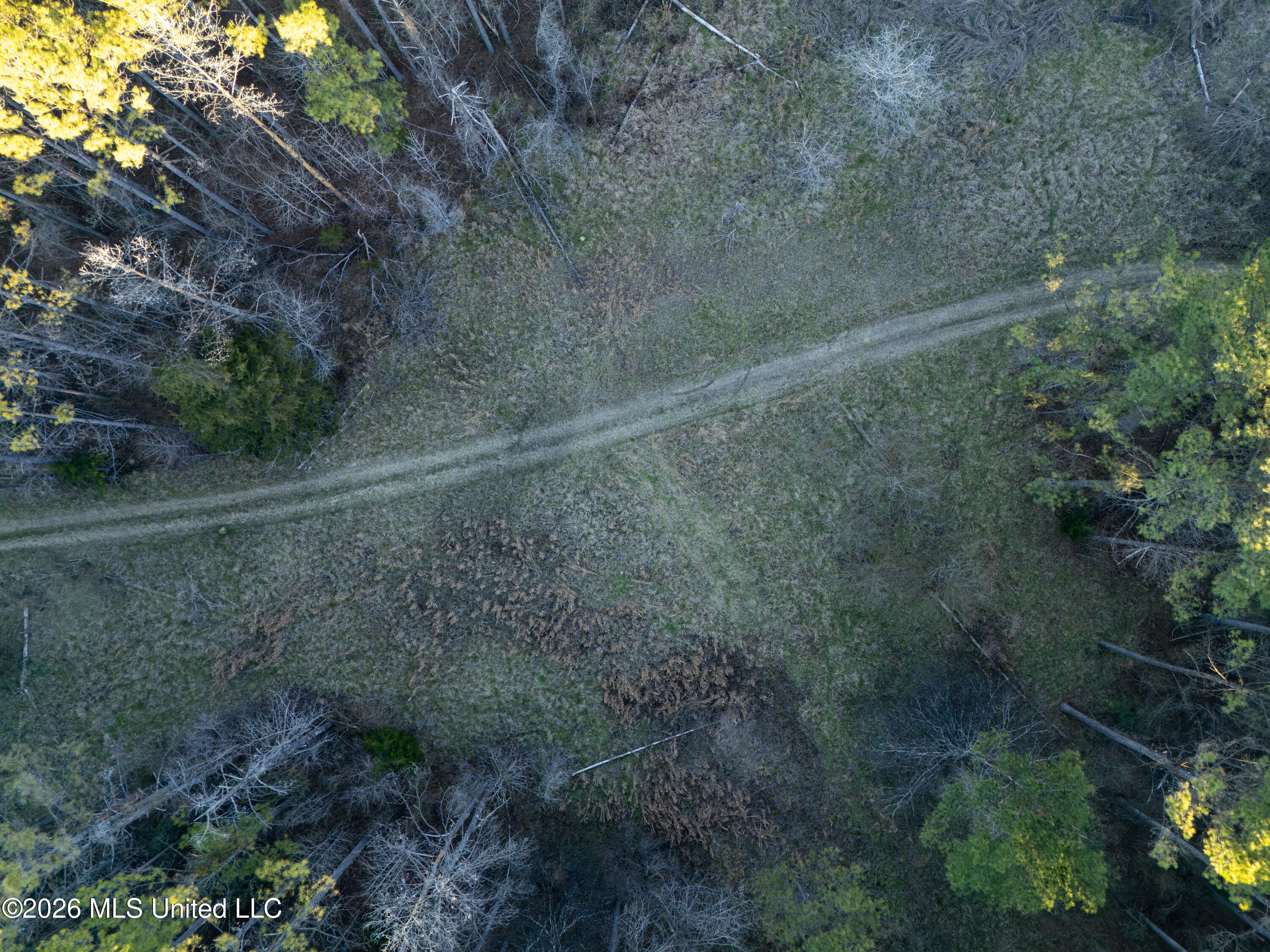 2414 County Road Newton, MS 39345 - Photo 11 of 40 DJI_20260223171615_0041_D-2