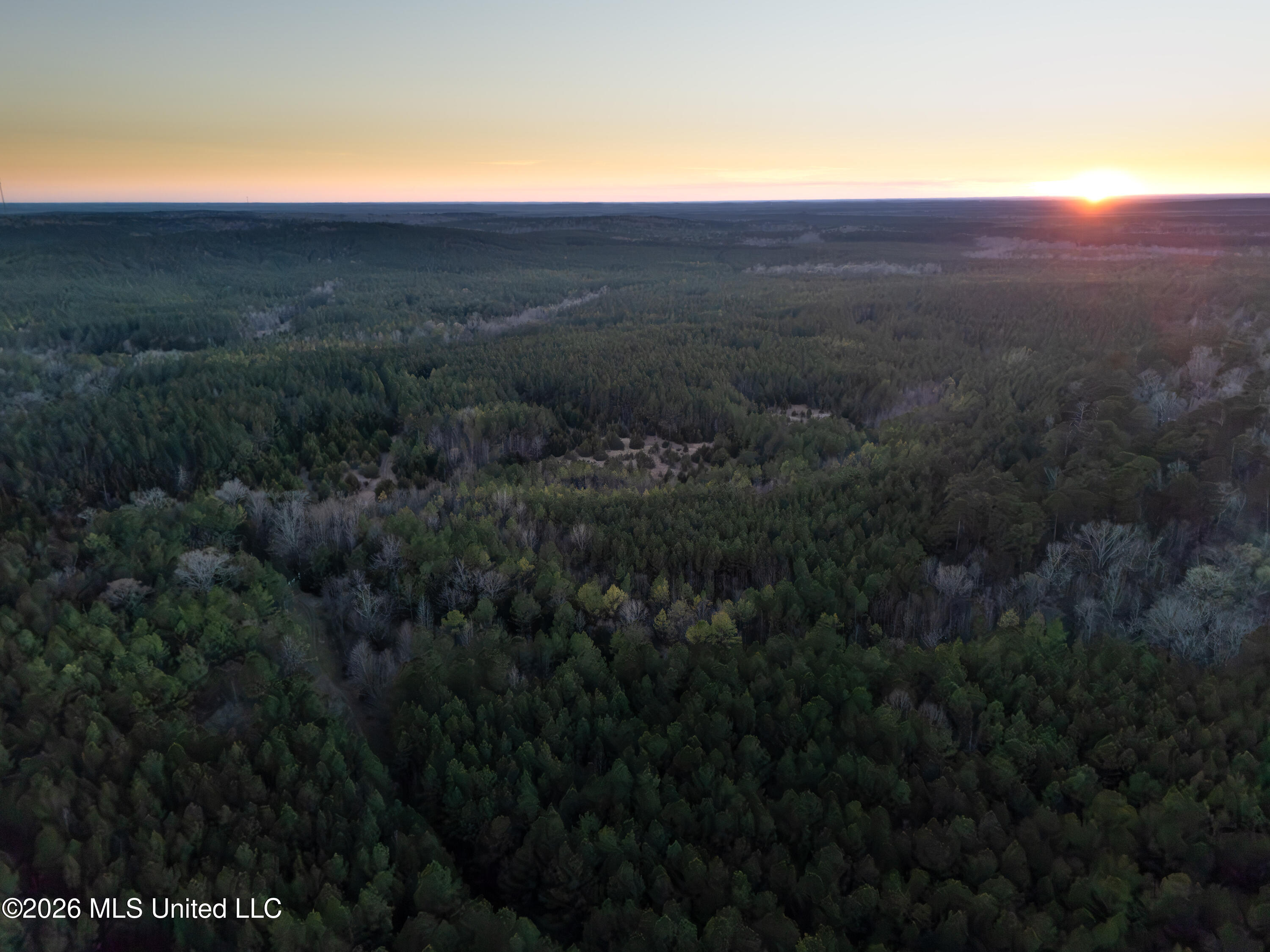 2414 County Road Newton, MS 39345 - Photo 14 of 40 DJI_20260223175346_0075_D