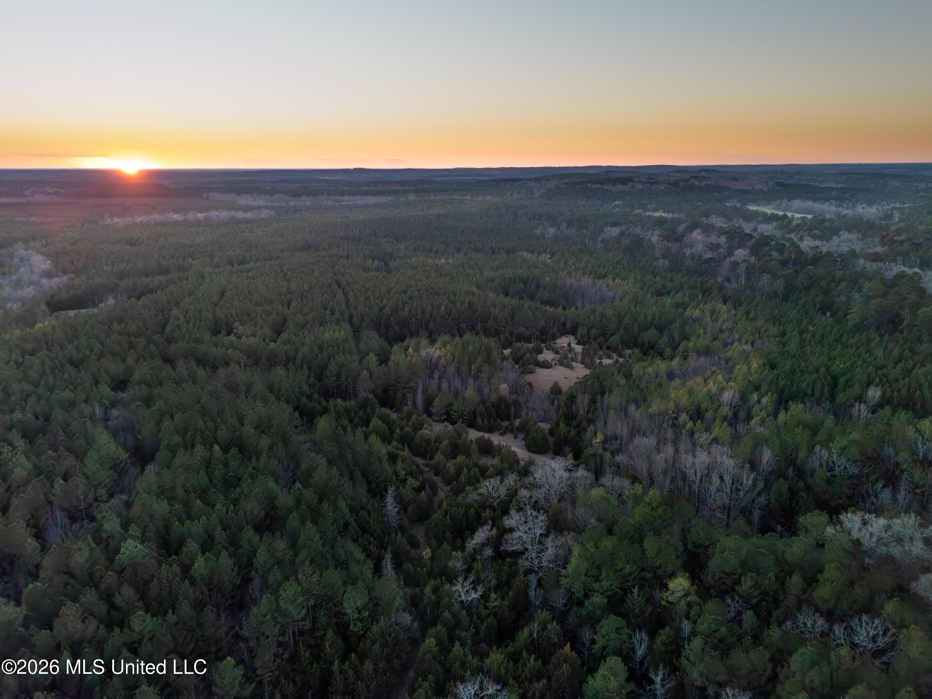 2414 County Road Newton, MS 39345 - Photo 15 of 40 DJI_20260223175455_0081_D