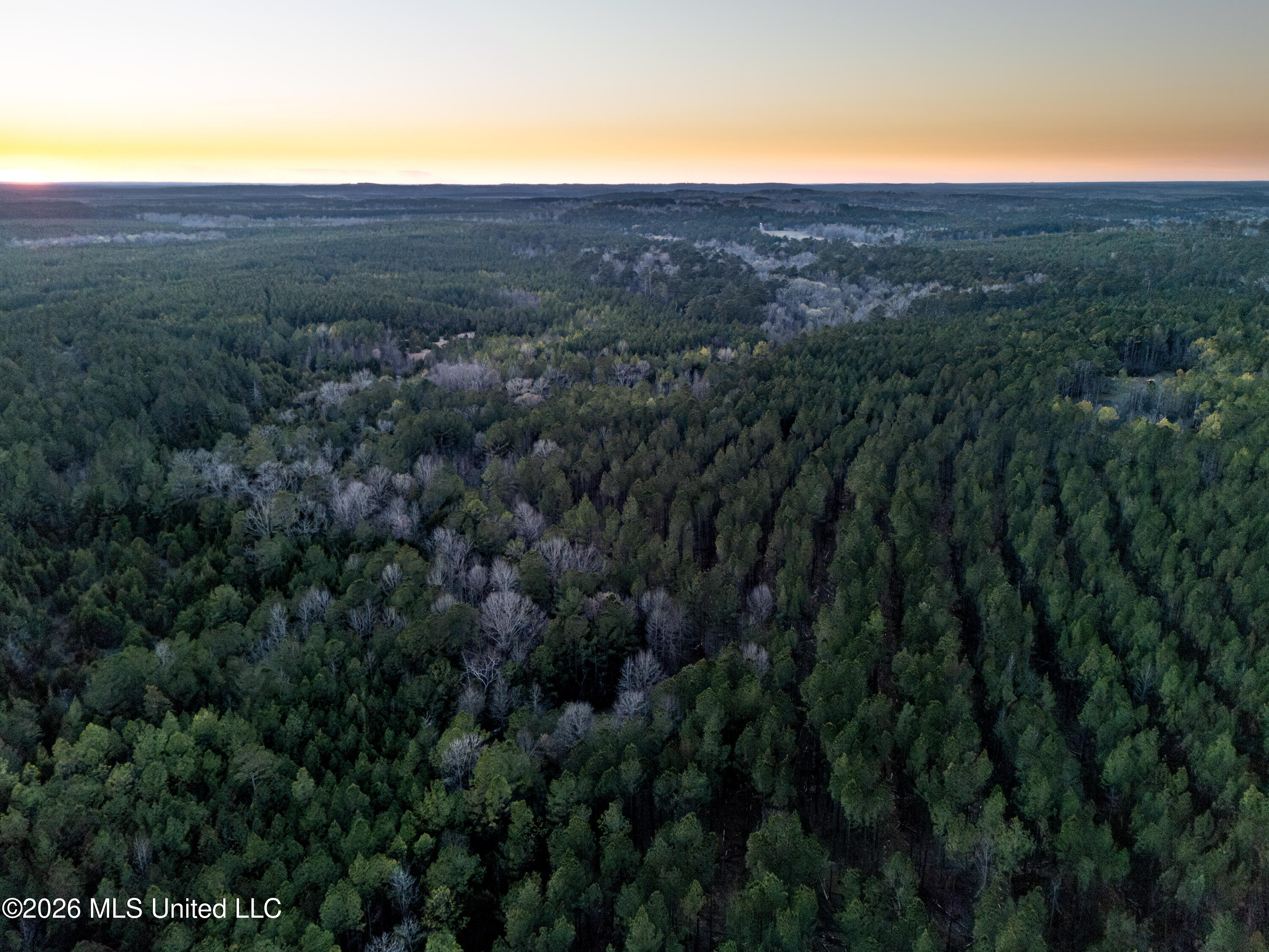 2414 County Road Newton, MS 39345 - Photo 16 of 40 DJI_20260223175628_0087_D