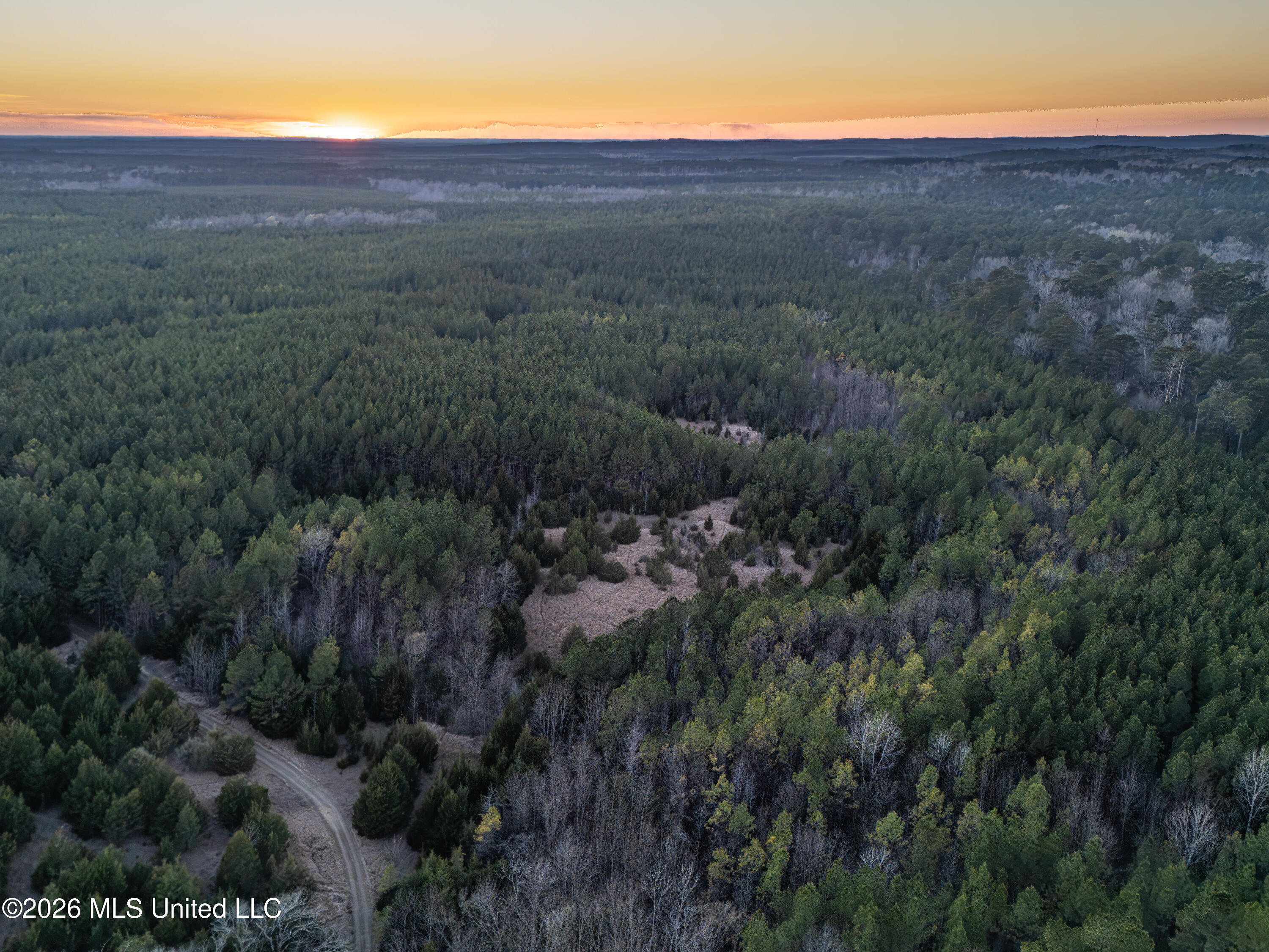 2414 County Road Newton, MS 39345 - Photo 17 of 40 DJI_20260223175840_0095_D-HDR