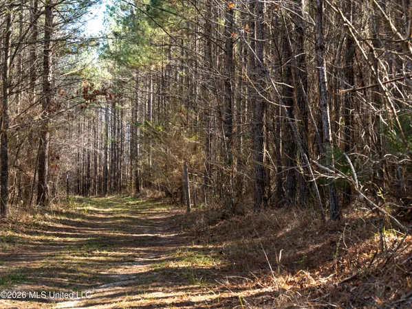 $369,900 | 2414 County Road, Newton, MS 39345