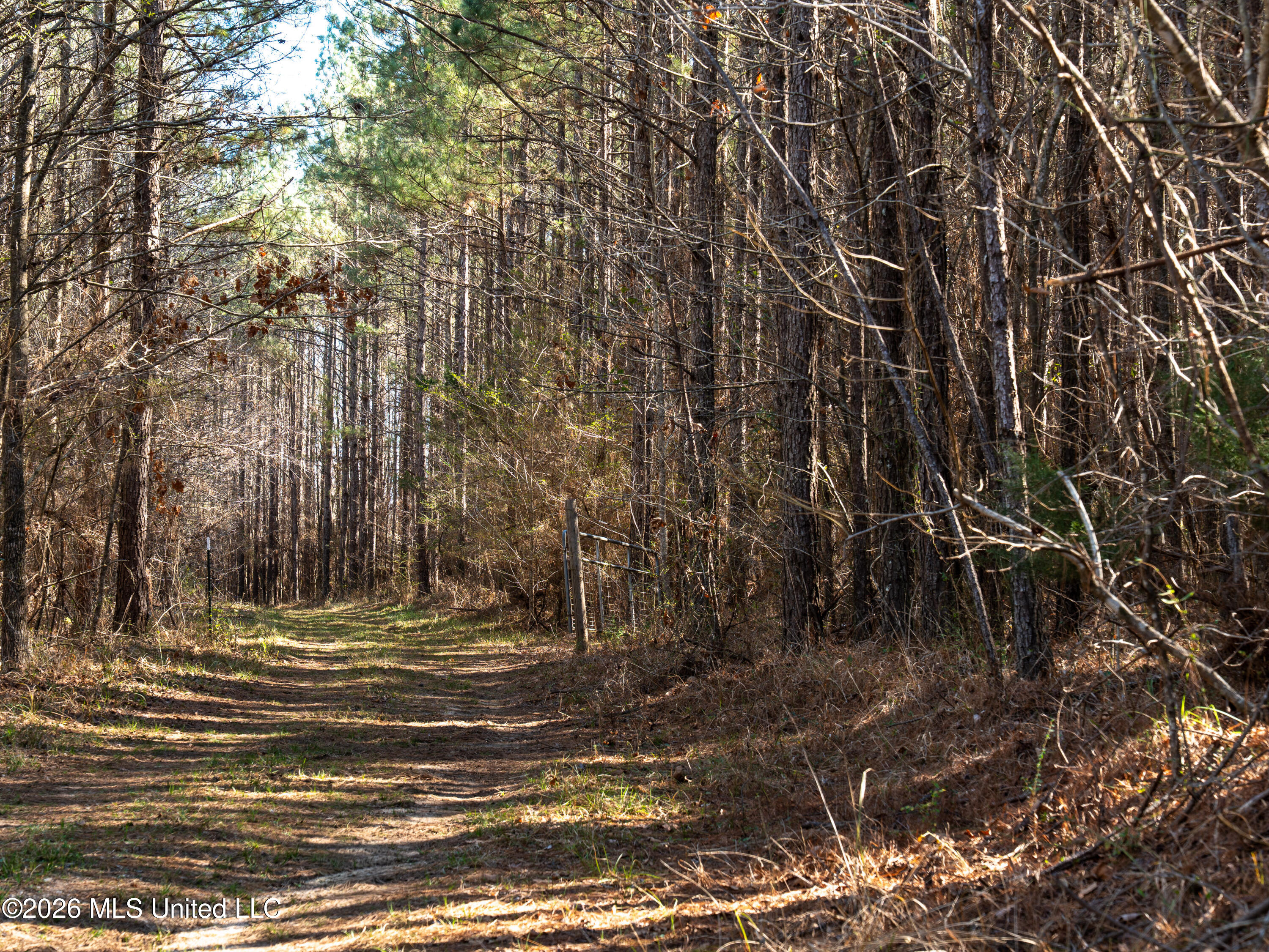 2414 County Road Newton, MS 39345 - Photo 18 of 40 A7401835