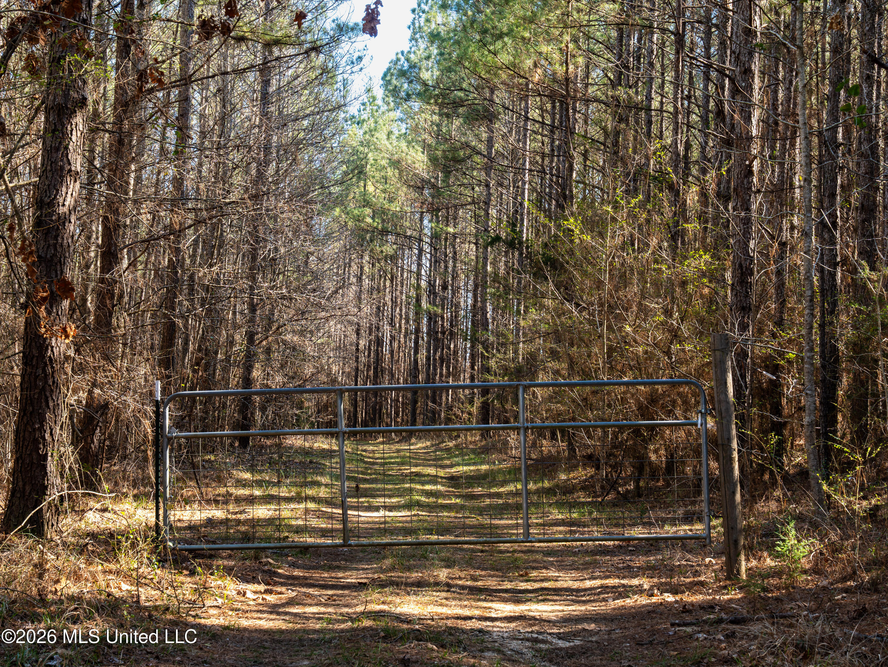 2414 County Road Newton, MS 39345 - Photo 19 of 40 A7401838