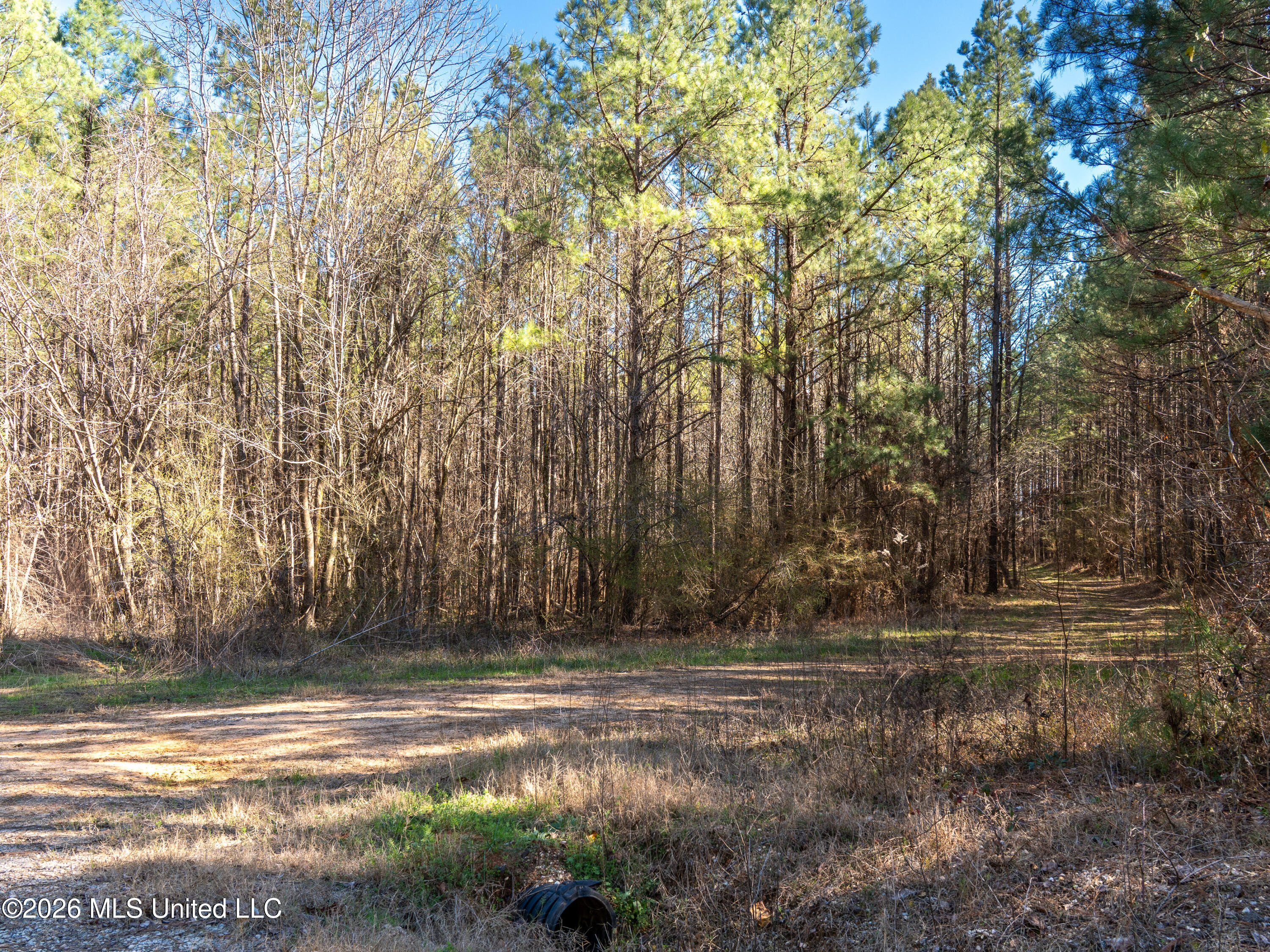 2414 County Road Newton, MS 39345 - Photo 20 of 40 A7401830-2