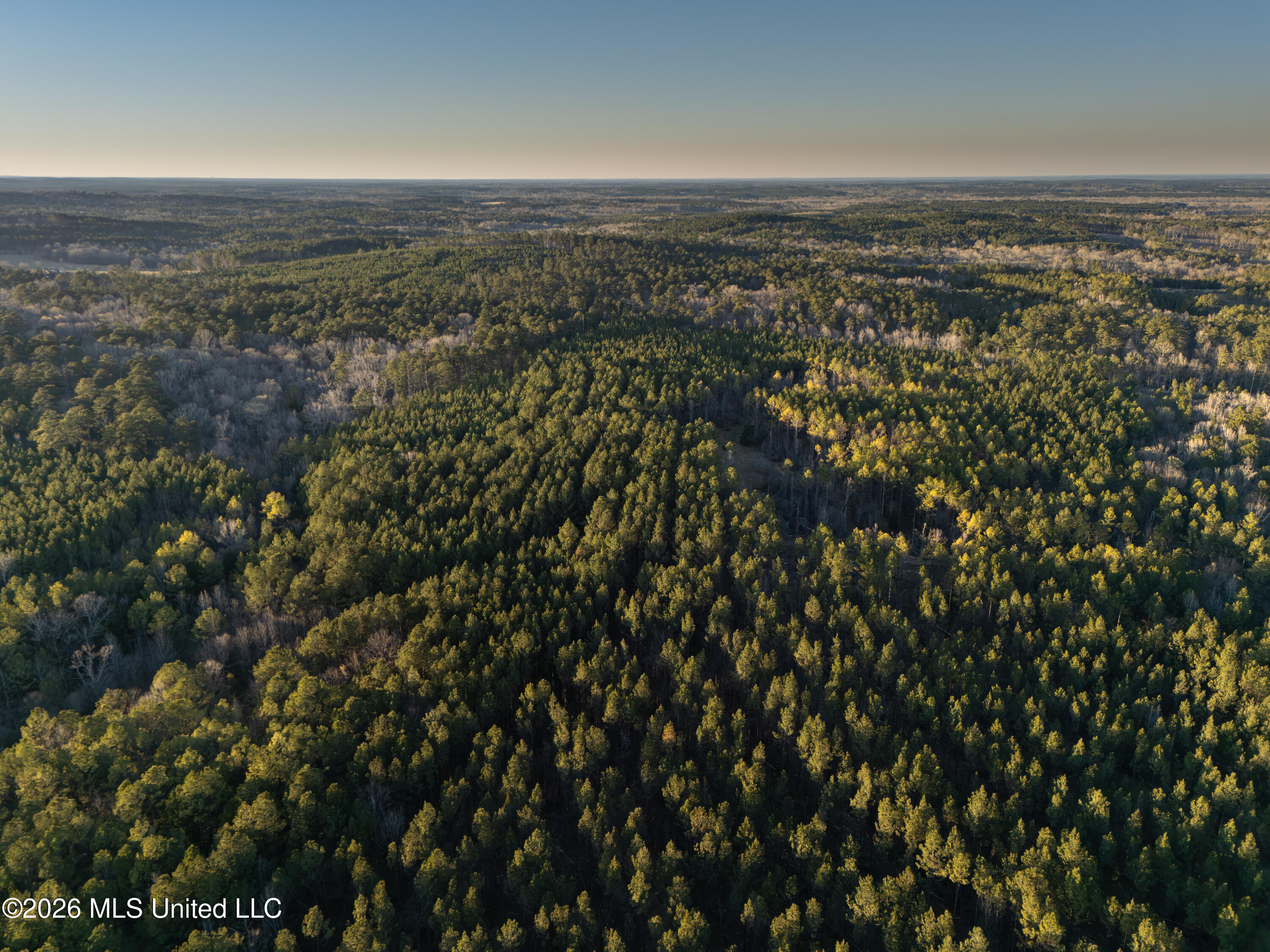 2414 County Road Newton, MS 39345 - Photo 2 of 40 DJI_20260223172342_0054_D