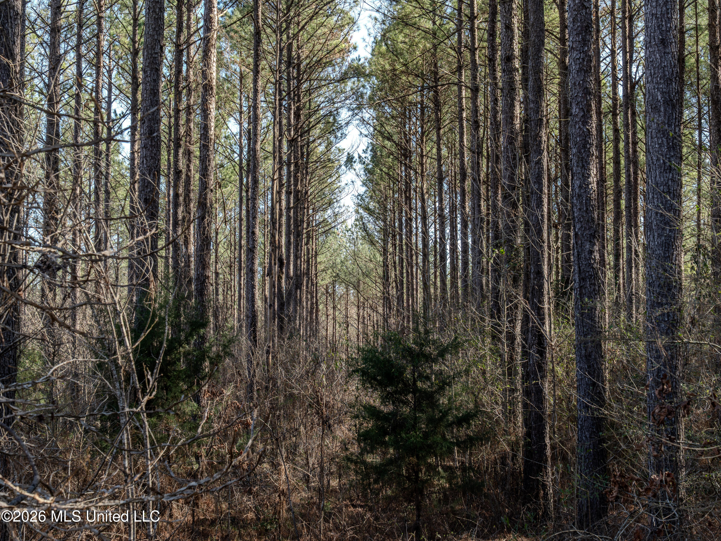 2414 County Road Newton, MS 39345 - Photo 21 of 40 A7401852