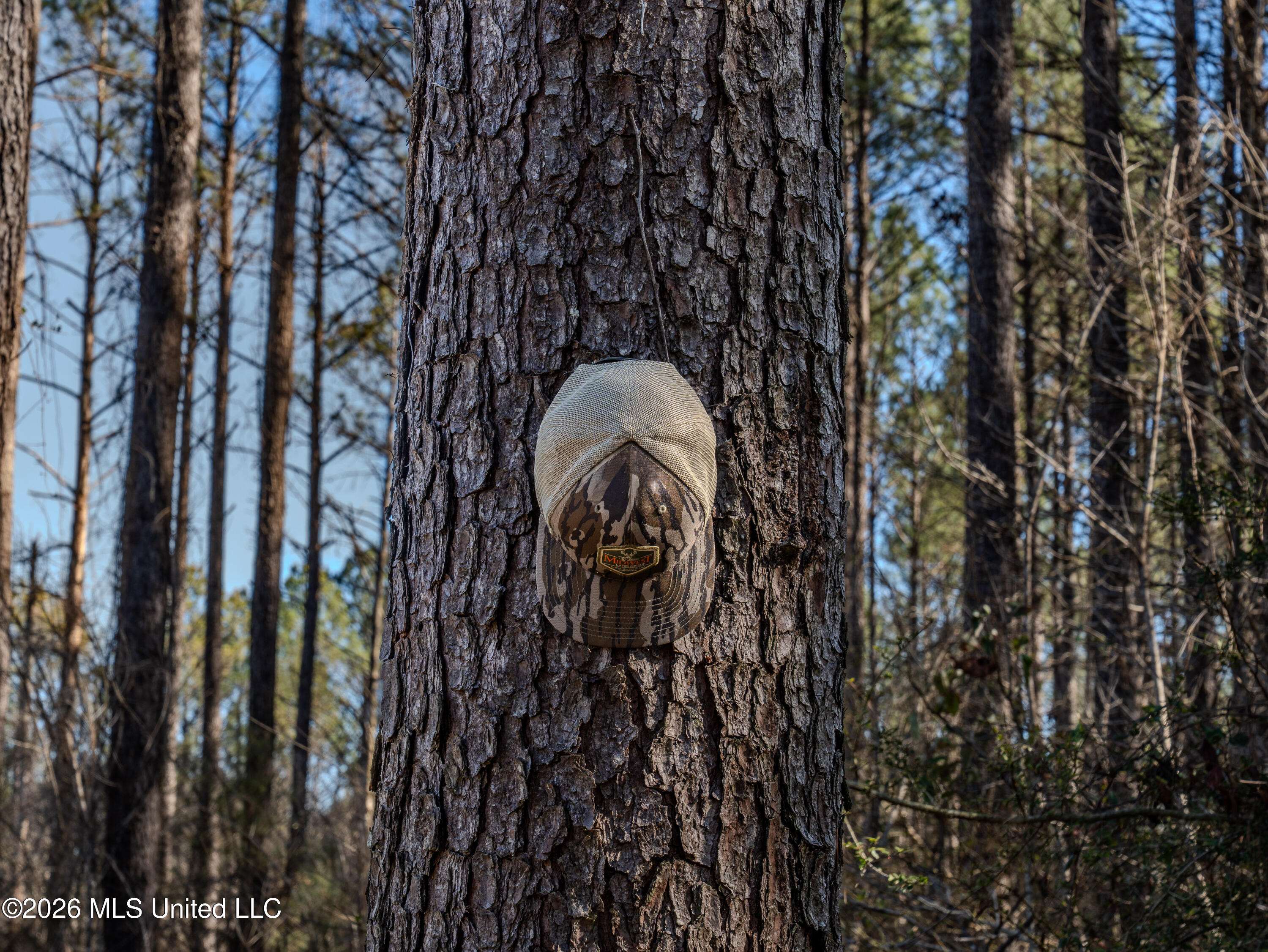 2414 County Road Newton, MS 39345 - Photo 23 of 40 A7401848