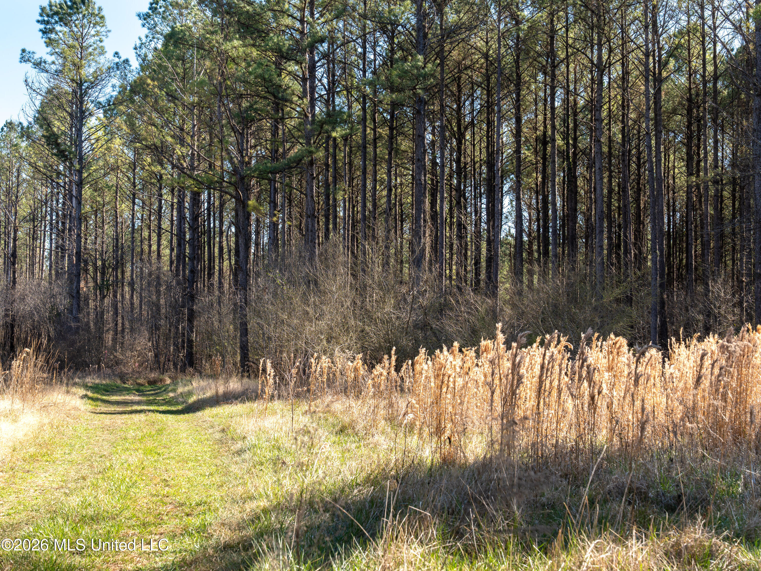 2414 County Road Newton, MS 39345 - Photo 26 of 40 A7401839