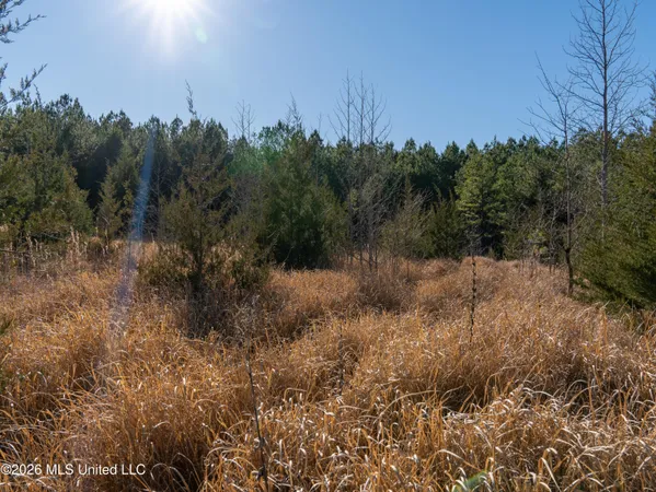 $369,900 | 2414 County Road, Newton, MS 39345