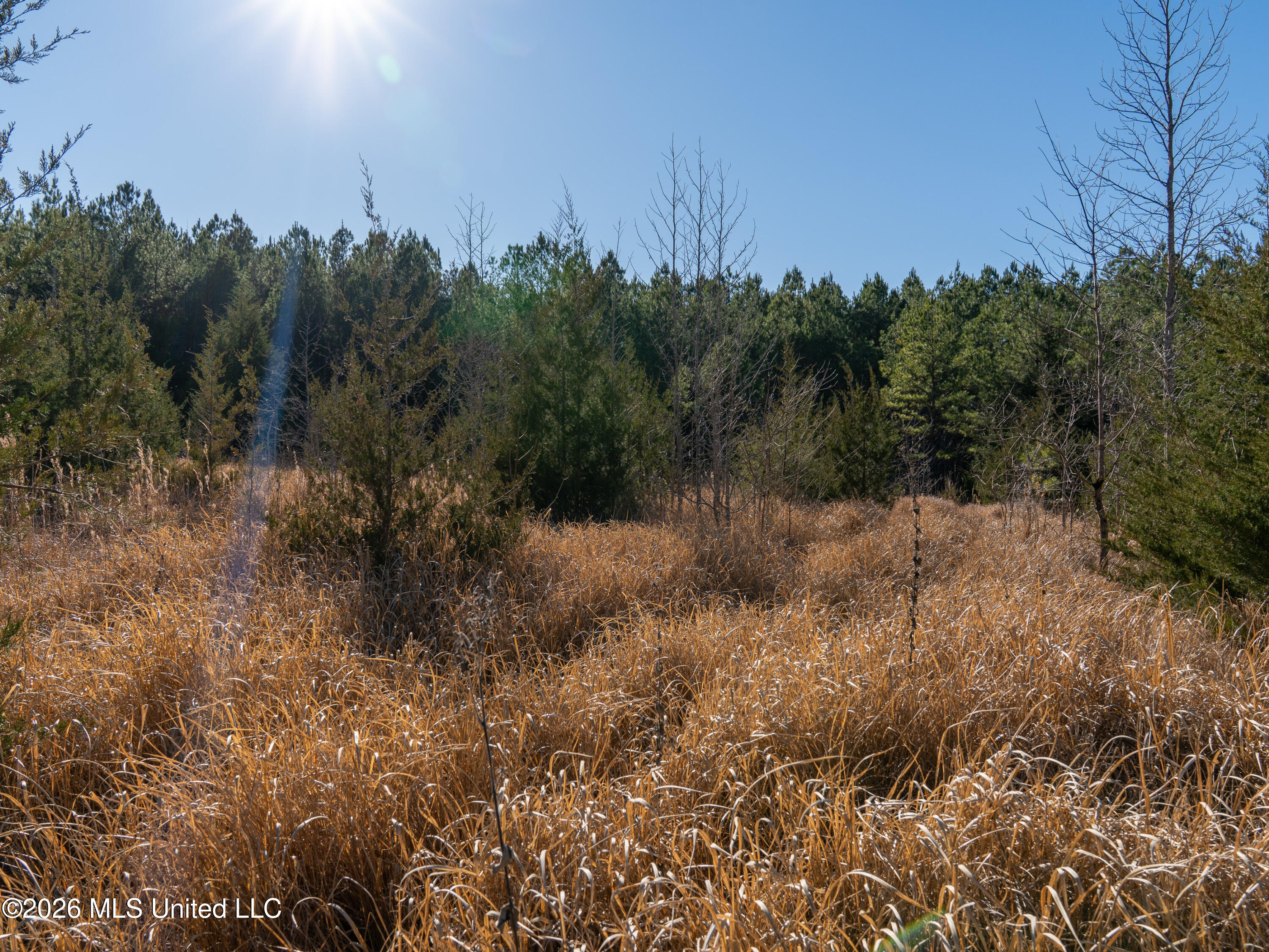 2414 County Road Newton, MS 39345 - Photo 28 of 40 A7401865