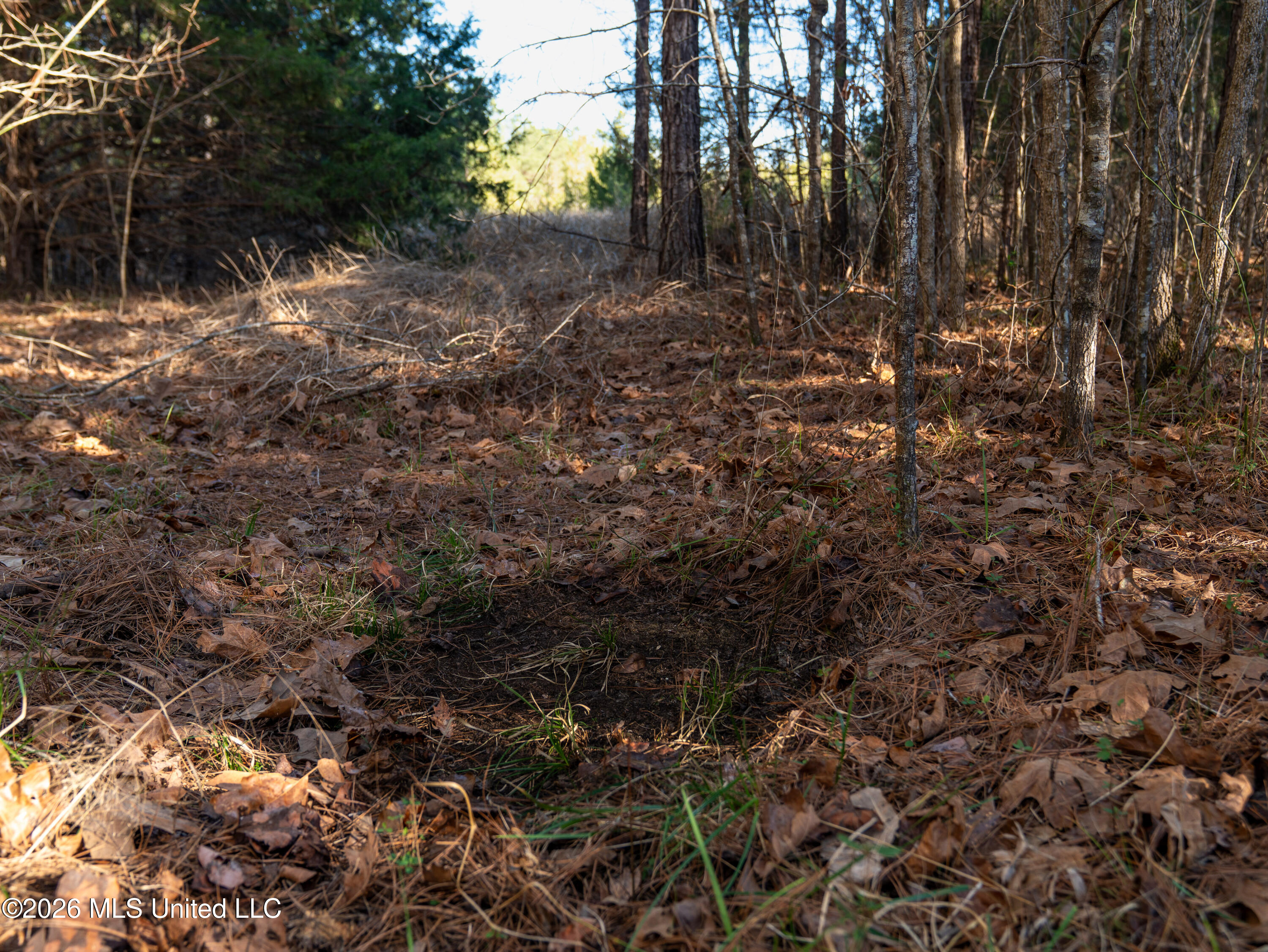 2414 County Road Newton, MS 39345 - Photo 29 of 40 A7401864