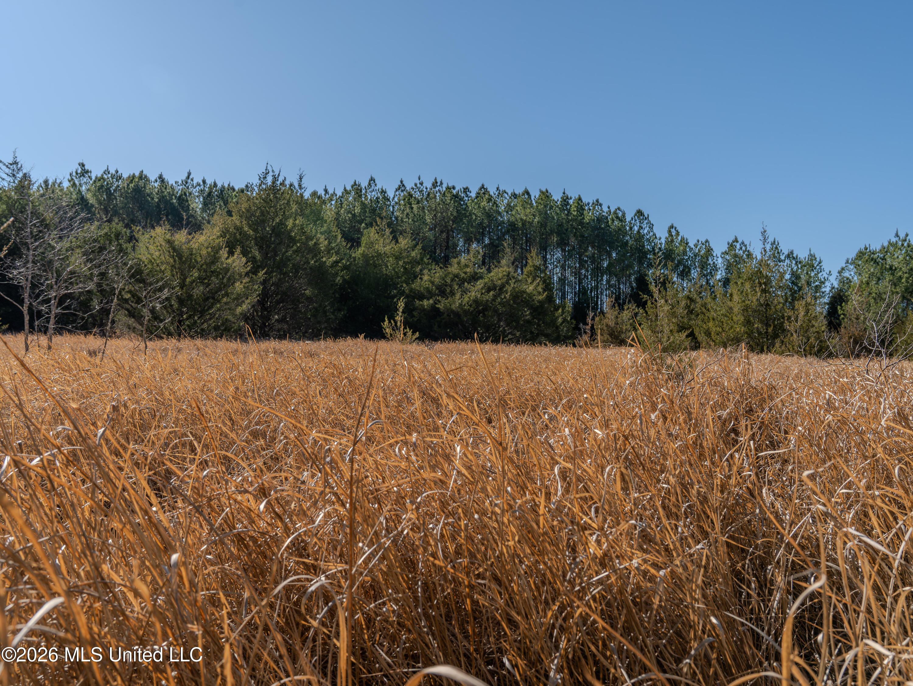 2414 County Road Newton, MS 39345 - Photo 30 of 40 A7401856