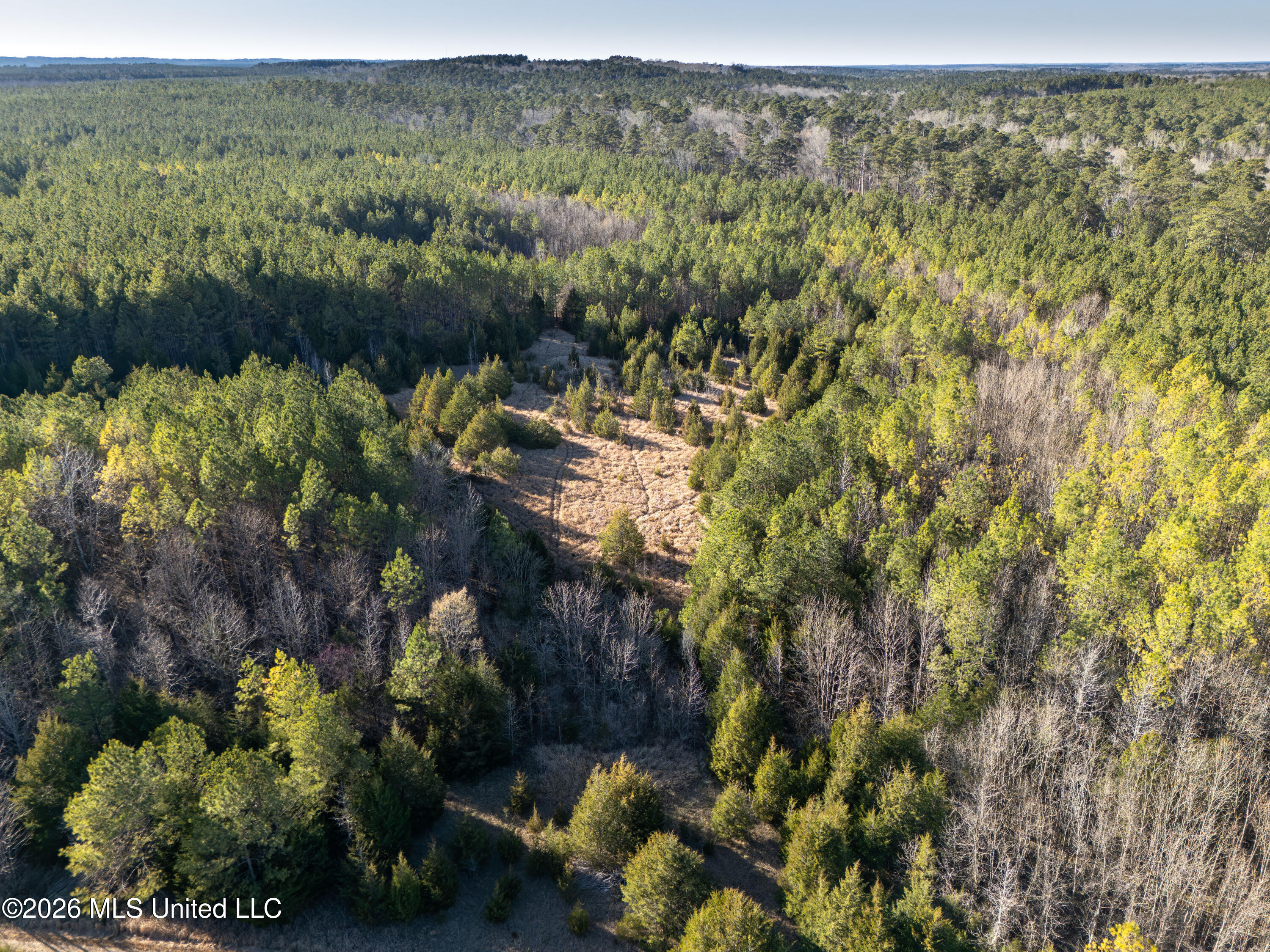 2414 County Road Newton, MS 39345 - Photo 3 of 40 DJI_20260223160029_0001_D
