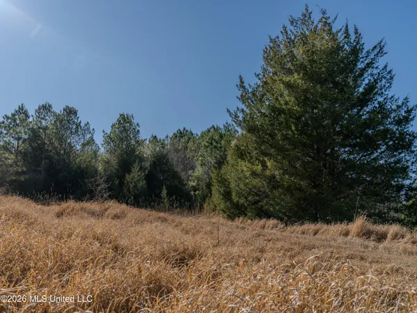 $369,900 | 2414 County Road, Newton, MS 39345